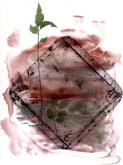diamond shape covered with colour wash