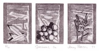Specimen Series etching and aquatint 