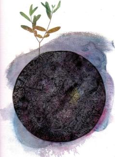circle with colour and botanical image